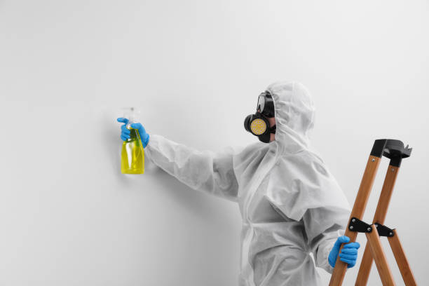 Mold Remediation for Vacation Homes in Clinton, MD